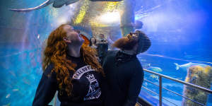 Sarah Noonan and Alister Winkel,from Traralgon,visiting the SEA LIFE aquarium in Melbourne last year.