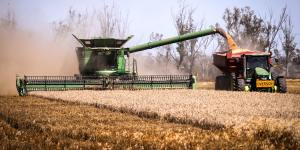 'Skip in their step':Bin-busting grain harvest reviving rural towns