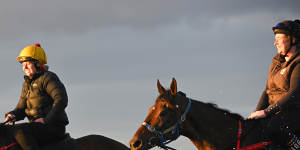 Alligator Blood cleared by vets to run in Cox Plate