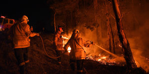 NSW Rural Fire Service volunteers battle a blaze in southern NSW in January 2020.