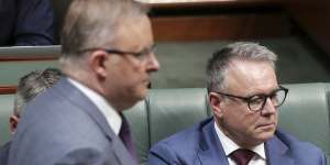 Labor MP Joel Fitzgibbon and Opposition Leader Anthony Albanese during Question Time on Thursday.