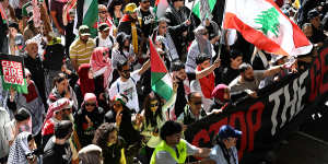 Pro-Palestine protesters in Sydney