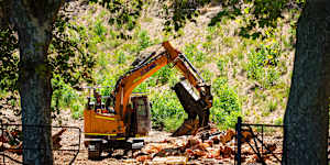 Pictures of the tree stumps left after tree removal due to the Polyphagous shot hole borer,on the edge of Kings Park,fronting Mounts Bay Road in Perth. 