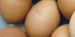 Salmonella fears prompt plea to dump contaminated NSW eggs