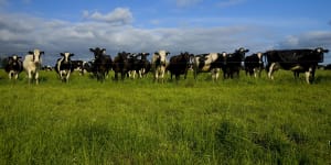 Australia's national farm representative group has endorsed a policy for an Australia-wide goal for net zero greenhouse gas emissions by 2030.