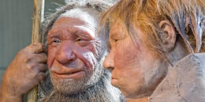 Seafood gourmands:Researchers say Neanderthals knew how to fish