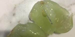 Woman says she found needle hidden in grape in Melbourne's west