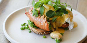 Butter-roasted lobster tail with poached eggs in a bagel.