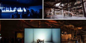 Clockwise from top left:Bernie Krause and United Visual Artists’ The Great Animal Orchestra,Cave Urban’s Flows and Alexandra Daisy Ginsberg’s The Substitute.