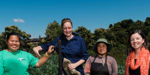 Green Connect Farm in Lake Heights,south of Wollongong has helped refugees and other gain employment. Standing left to right:Su Meh,Emily Henderson,Pleh Meh and Kylie Flament,general manager of Green Connect. 