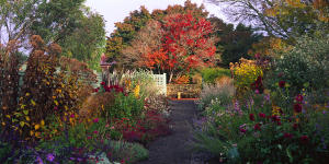 The colourful charm of Lambley Gardens&Nursery near Ballarat.