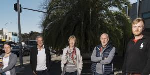 Support Lindfield president Linda McDonald (third from left) said residents did not want"hints of Chatswood high rises here".