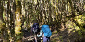 The Overland track winds for six days through extraordinary landscapes in Tasmania’s north-west. 