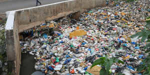 Plastic chemicals are making us fatter,sicker and less fertile.