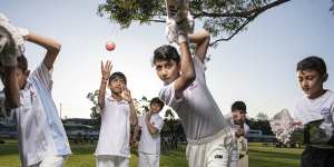 Members of the Carlingford Waratah Juniors at Kingsdene Oval in Sydney.