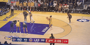 Third sex toy in seven days thrown onto court during WNBA game