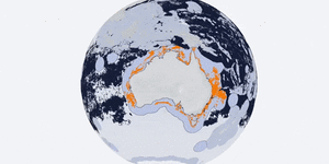Global/ Australian fishing activity