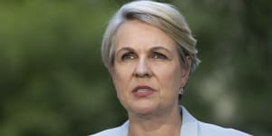Environment Minister Tanya Plibersek met with representatives of the mining company but she declined an invitation from Bob Brown to visit the proposed dam site in the forest.