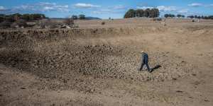 Braidwood farmer Mark Horan walks through one of the 20 dried dams on his property. As a NSW farmer,he is eligible for transport subsidies,but nearby farmers in the ACT are not.