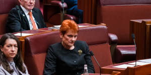 One Nation senator Pauline Hanson in the Senate.