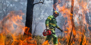 Firefighters carry out a planned burn in Bendigo National Park in 2023. But do prescribed burns work?