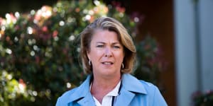 NSW Water Minister Melinda Pavey has been pushing for changes to the rules on flood plain harvesting.
