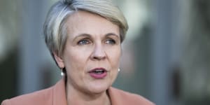 Federal Environment Minister Tanya Plibersek says the country is in the midst of a recycling jobs boom.