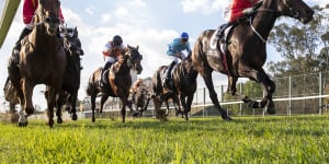 Rising gelding hunting back-to-back Hawkesbury triumphs