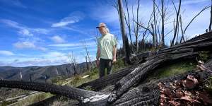 Cam Walker,from Friends of the Earth,stands in an area of bushland that was burnt two years ago.