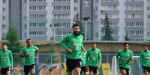 Socceroos captain Jedinak battling for a starting spot against France