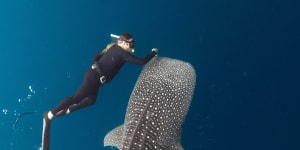 Tim Winton on coming face to face with a dugong – and finding a kindred spirit