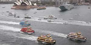 The First Fleet ferries race on Sydney Harbour on Australia Day.