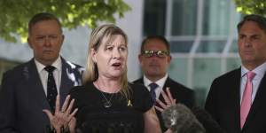 Veteran suicide campaigner Julie-Ann Finney,flanked by Opposition leader Anthony Albanese (left) and Labor MPs,says families won't be placated by the government's alternative to a royal commission.