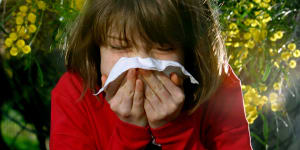 High pollen levels in Australia nothing to be sneezed at,expert warns