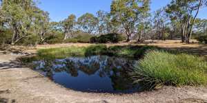 About 15 minutes’ drive out of Harrow in western Victoria,this waterhole is where Indigenous cricketer Johnny Mullagh lived for most of his final years.