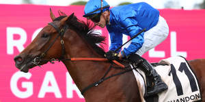 Godolphin star filly Zardozi will be a punters’ favourite in the Vinery Stud Stakes at Rosehill on Saturday.