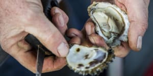 Sydney Rock Oysters:Why one tasty Australian oyster has a natural advantage