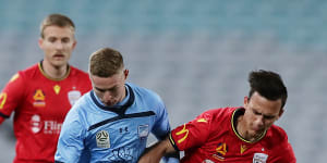 Sydney FC stop the rot against Adelaide but still searching for win