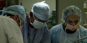 A panel was unable to reach consensus on how to carry out the orders of NSW Health to perform children’s heart surgery with one team at two sites.