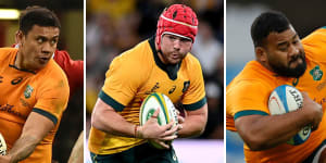 Up in the air:Wallabies Len Ikitau,Harry Wilson and Taniela Tupou are yet to re-sign with Australian rugby beyond the World Cup.