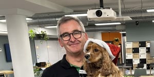 Woolworths CEO Brad Banducci and his king charles cavalier cocker spaniel cross called Juno. About 70 per cent of Australian households have a pet.