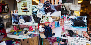 As well as cats,in Yanaka,you’ll also find an outpost of Melbourne cafe and design store Cibi.