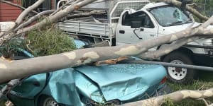 In the Townsville suburb of Kelso,Tropical Cyclone Kirrily brought down power lines and trees,crushing two cars.