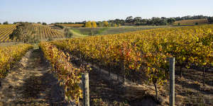 Bannockburn Vineyards in the Geelong region.