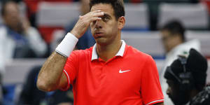 Del Potro fractures kneecap after bad fall