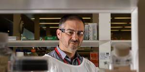 Professor James Triccas in his lab at the University of Sydney.
