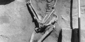 The skeleton dubbed Mungo Man,unearthed in 1974 at Lake Mungo in New South Wales.
