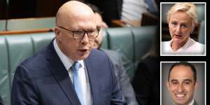 Liberals ‘disillusioned’ by Dutton-backed intervention in key seat