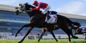 Verry Elleegant beats Anthony Van Dyck in the Caulfield Cup.