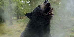 Cocaine Bear riotously delivers on the promise of its title.